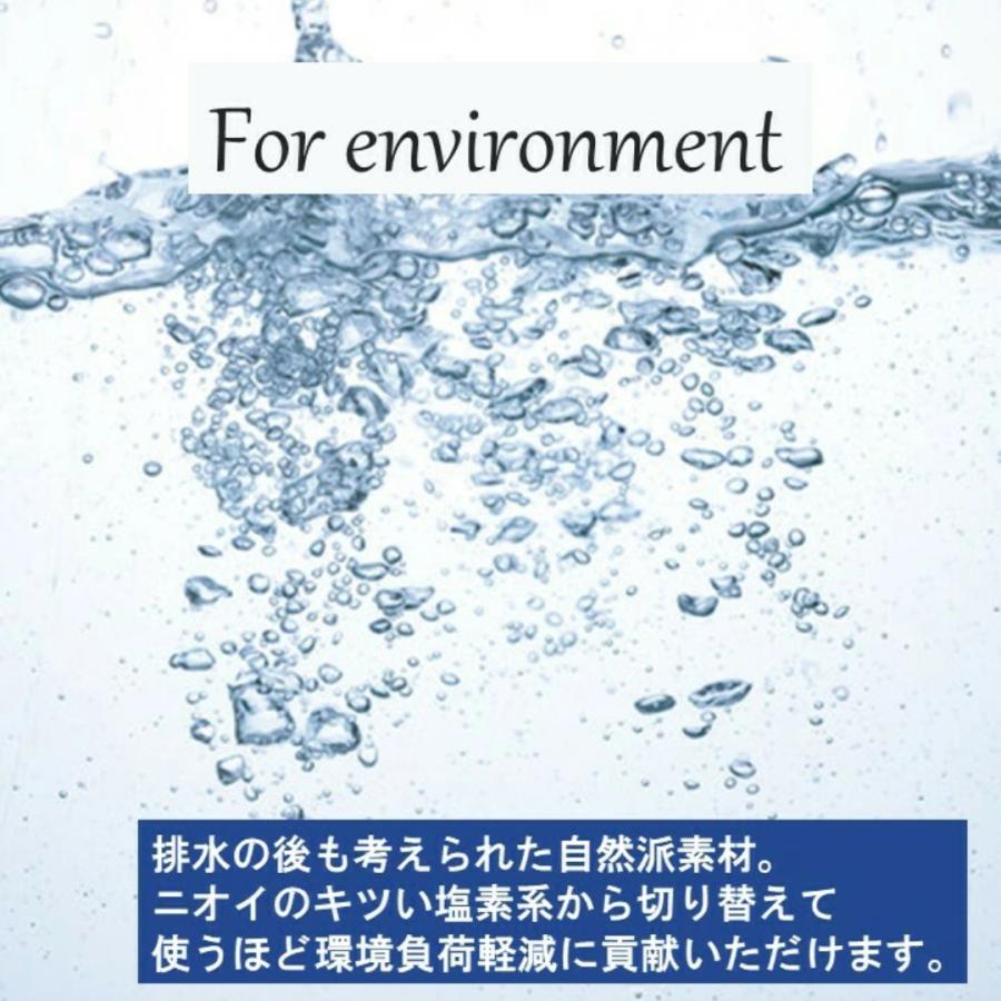 洗濯槽クリーナー ドラム式 縦型 両用 天然由来 自然 過炭酸ナトリウム 酸素系漂白剤 洗濯槽 カビ 黒カビ 大掃除 塩素不使用 無香料 無着色 敏感肌 デリケート |  | 05