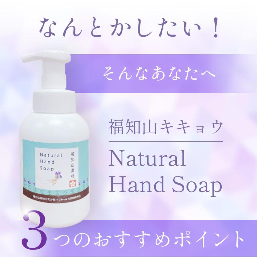 福知山キキョウ ハンドソープ 詰替え用  280ml 1本 敏感肌 除菌 弱アルカリ 天然 日本製 泡 石けん さっぱり 福知山 ノンアルコール ばい菌 桔梗 自然派 |  | 02