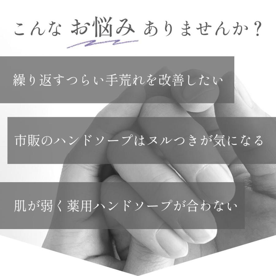 福知山キキョウ ハンドソープ 詰め替え用 5L 敏感肌 除菌 弱アルカリ 天然 日本製 泡 石けん さっぱり 福知山 ノンアルコール ばい菌 桔梗 自然派 |  | 01