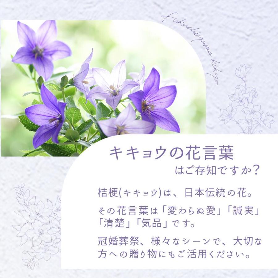 福知山キキョウ ハンドソープ 詰め替え用 17L 敏感肌 除菌 弱アルカリ 天然 日本製 泡 石けん さっぱり 福知山 ノンアルコール ばい菌 桔梗 自然派 |  | 13