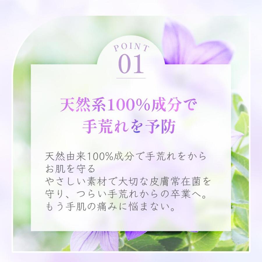 福知山キキョウ ハンドソープ 詰め替え用 17L 敏感肌 除菌 弱アルカリ 天然 日本製 泡 石けん さっぱり 福知山 ノンアルコール ばい菌 桔梗 自然派 |  | 03