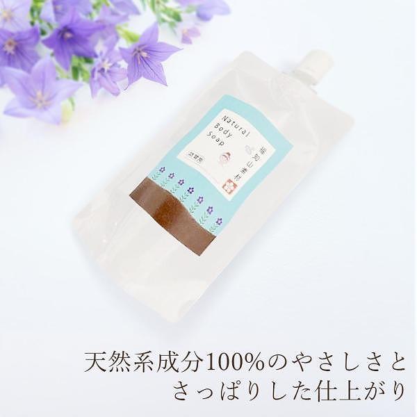福知山キキョウ ボディソープ 詰め替え用 280ml 敏感肌 除菌 弱アルカリ 天然 日本製 泡 石けん 無添加 敏感肌 ノンアルコール ばい菌 桔梗 自然派 | 