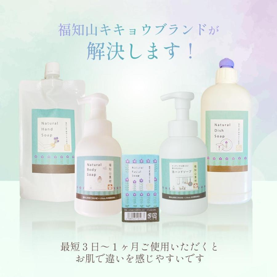 福知山キキョウ ボディソープ 詰め替え用 280ml 敏感肌 除菌 弱アルカリ 天然 日本製 泡 石けん 無添加 敏感肌 ノンアルコール ばい菌 桔梗 自然派 |  | 03