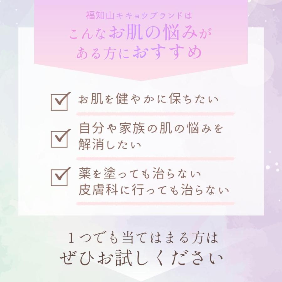 福知山キキョウ ボディソープ 詰め替え用 5L 敏感肌 除菌 弱アルカリ 天然 日本製 泡 石けん さっぱり 無添加 敏感肌 ノンアルコール ばい菌 桔梗 自然派 |  | 02