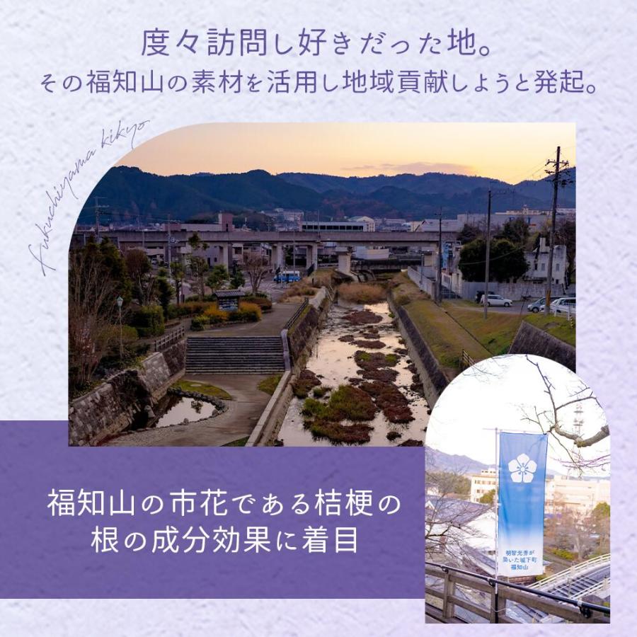 福知山キキョウ ボディソープ 詰め替え用 17L 敏感肌 除菌 弱アルカリ 天然 日本製 泡 石けん 無添加 敏感肌 ノンアルコール ばい菌 桔梗 自然派 |  | 07
