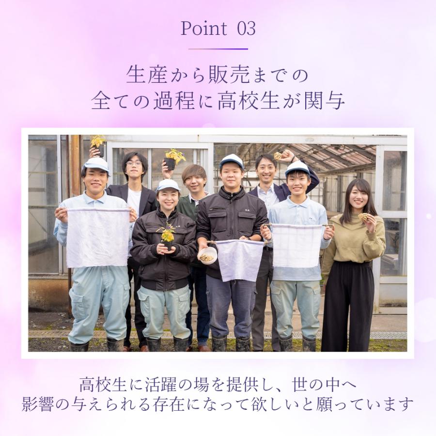 【手荒れ対策の決め手】食器用洗剤 300ml | スキンケア素材使用 手荒れ予防 ひび割れ防止 あかぎれ防止 哺乳瓶 哺乳びん ハンドケア 福知山 桔梗 |  | 12