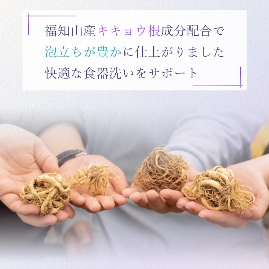 【手荒れ対策の決め手】食器用洗剤 300ml | スキンケア素材使用 手荒れ予防 ひび割れ防止 あかぎれ防止 哺乳瓶 哺乳びん ハンドケア 福知山 桔梗 |  | 04