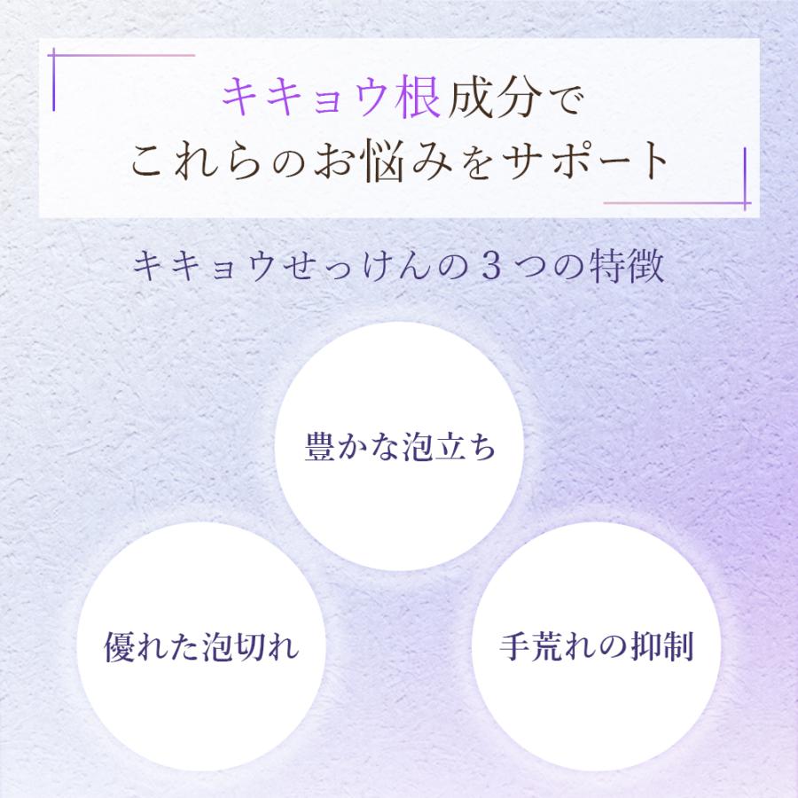 【手荒れ対策の決め手】食器用洗剤 280ml 詰め替え用 スキンケア素材使用 手荒れ予防 ひび割れ防止 あかぎれ防止 哺乳瓶 ハンドケア 福知山 桔梗 |  | 02