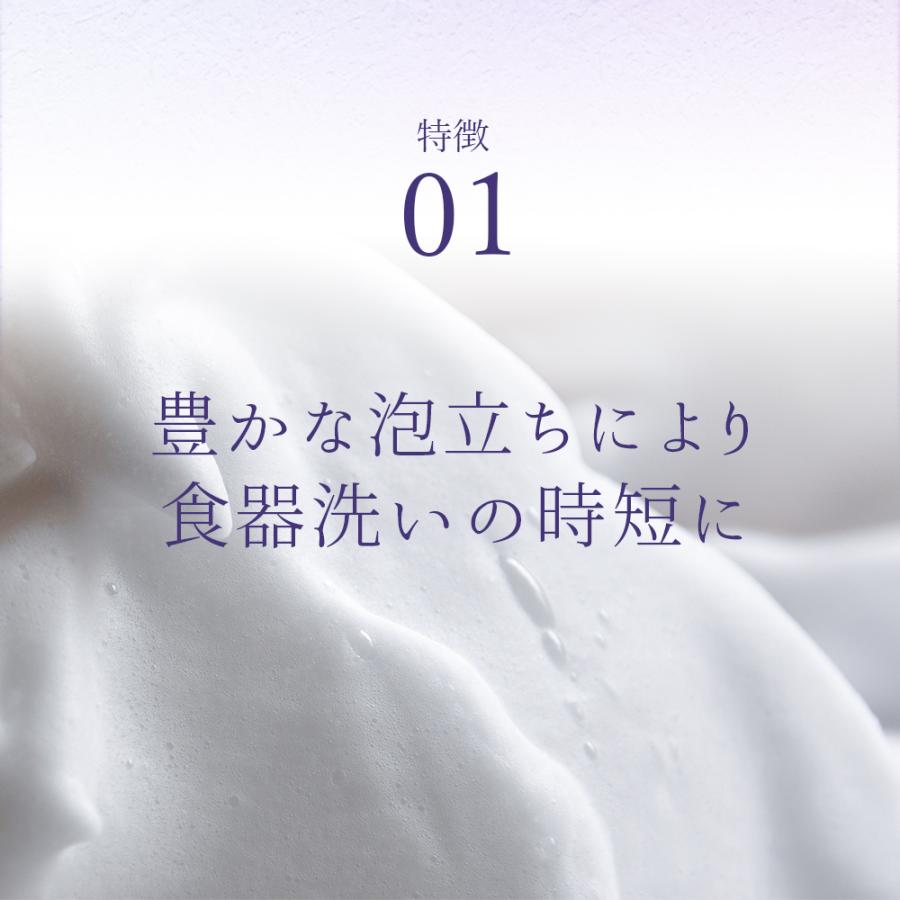 【手荒れ対策の決め手】食器用洗剤 280ml 詰め替え用 スキンケア素材使用 手荒れ予防 ひび割れ防止 あかぎれ防止 哺乳瓶 ハンドケア 福知山 桔梗 |  | 03
