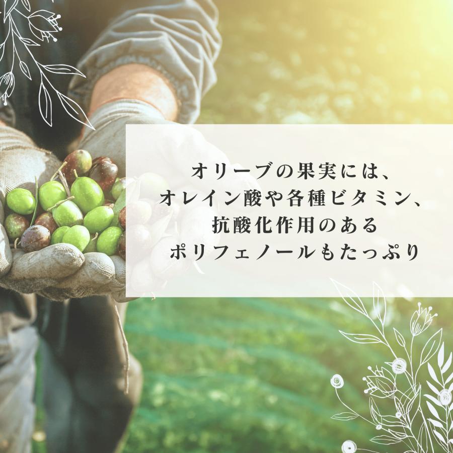 2025年産 小豆島産 オリーブ 新漬け 実 75g 数量限定 100% 小豆島 国産 オリーブの実 塩漬け 浅漬け風 漬物 ギフト プレゼント 手摘み 賞味期限12/24以降 |  | 02