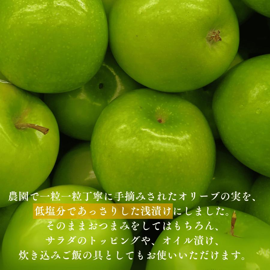 2025年産 小豆島産 オリーブ 新漬け 実 200g×3 数量限定 100% 小豆島 国産 オリーブの実 塩漬け ギフト プレゼント 手摘み 賞味期限11/24以降 |  | 10