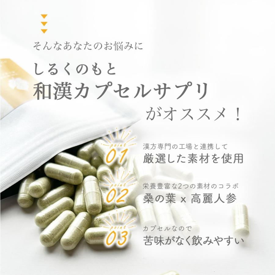 しるくのもと サプリ サプリメント 桑葉 高麗人参 ヘルスケア 約1ヶ月分 100粒 和漢カプセルサプリ 疲労 疲れ スッキリ 体調 体調管理 元気 |  | 02