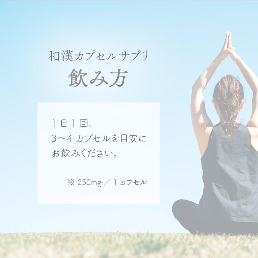 しるくのもと 3袋 サプリ サプリメント 桑葉 高麗人参 ヘルスケア 約1ヶ月分 100粒 和漢カプセルサプリ 疲労 疲れ スッキリ 体調 体調管理 元気 |  | 05