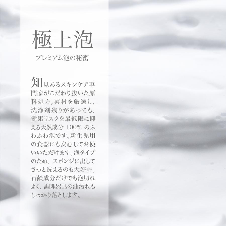 しるくのもと 食器用 石けん 泡 ボトル 300ml 食器洗い 手荒れ 新生児 桑の葉 抗菌 抗アクネ 抗酸化 合成添加物不使用 オレンジ ジャスミン 天然由来成分100% |  | 03
