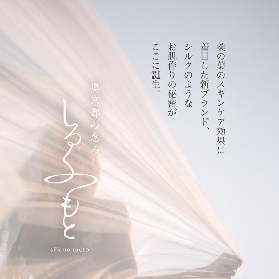 しるくのもと 食器用 石けん 泡 ボトル 300ml 食器洗い 手荒れ 新生児 桑の葉 抗菌 抗アクネ 抗酸化 合成添加物不使用 オレンジ ジャスミン 天然由来成分100% |  | 07