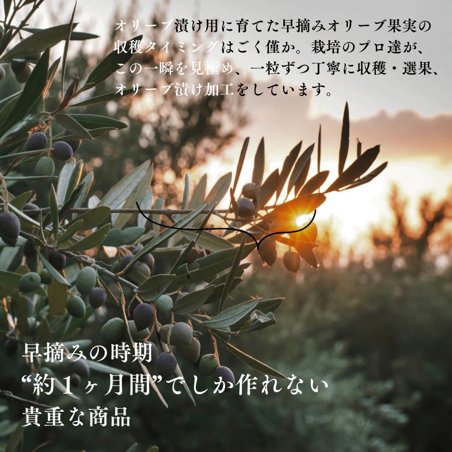 【公式】オリーブ 塩漬け 新漬け 小豆島産 実 10/10解禁 セット 季節 数量限定 国産 浅漬け風 ギフト プレゼント ナナオリーブ 送料無料 賞味期限12/23 70g×3 |  | 06