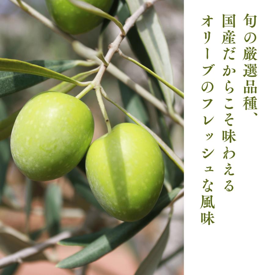 【公式】新漬け 小豆島 オリーブ 実 塩漬け 10/10解禁 大容量 セット 国産 浅漬け風 漬物 ギフト プレゼント ナナオリーブ 訳あり 賞味期限11/26 200g×10 |  | 01