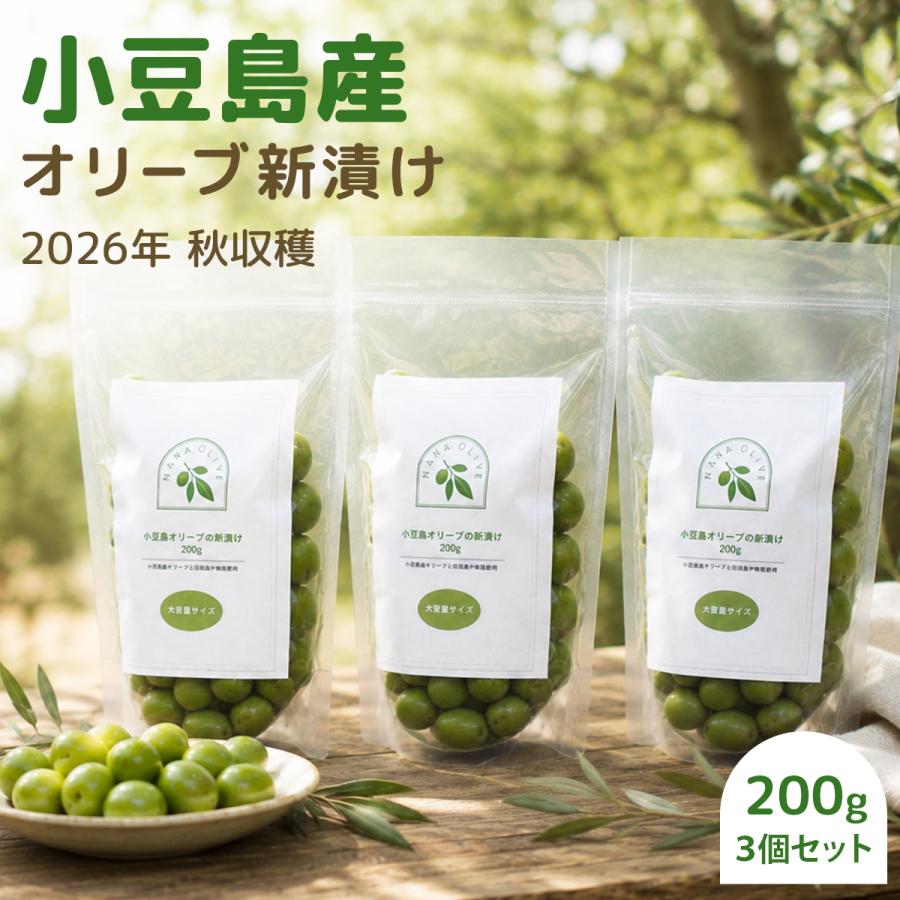 【公式】新漬け 小豆島 オリーブ 実 塩漬け 10/10解禁 大容量 セット 国産 浅漬け風 漬物 ギフト プレゼント ナナオリーブ 訳あり 賞味期限11/26 200g×3 | 