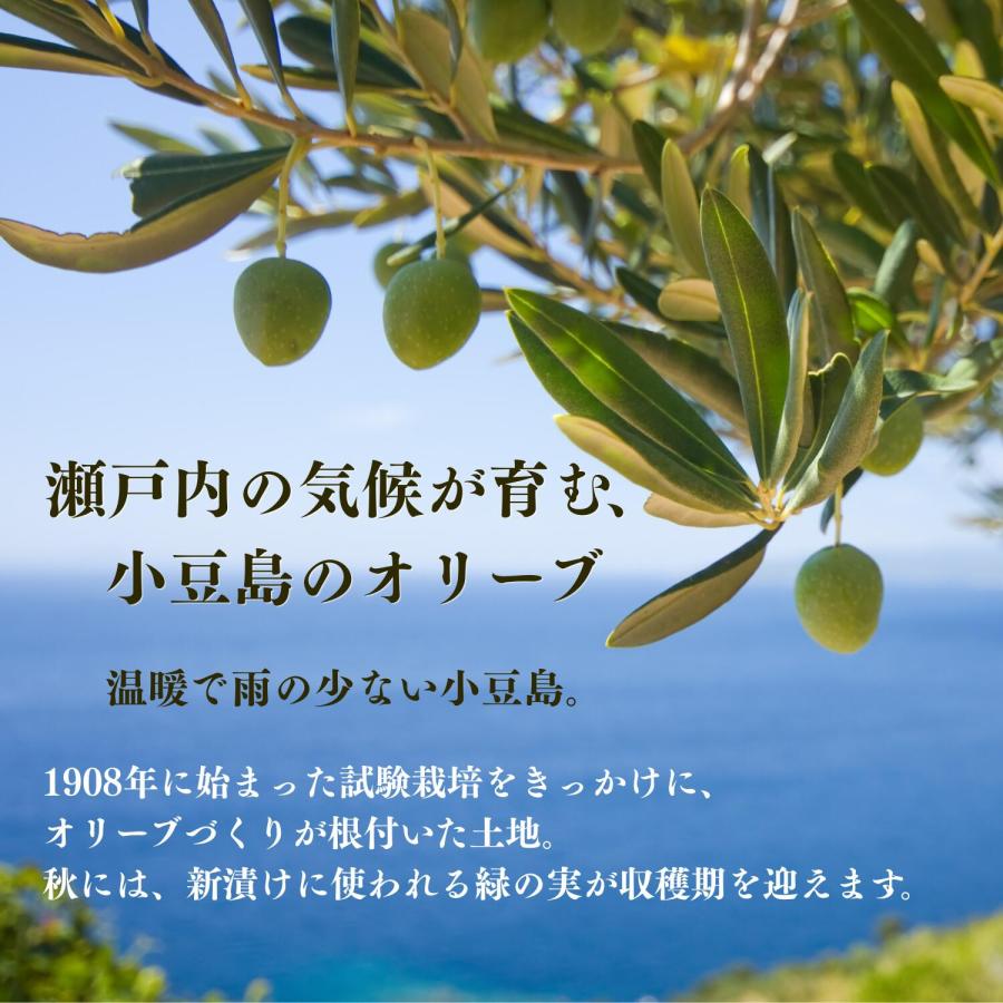 【公式】新漬け 小豆島 オリーブ 実 塩漬け 10/10解禁 大容量 セット 国産 浅漬け風 漬物 ギフト プレゼント ナナオリーブ 訳あり ふぞろい 賞味期限11/26 200g |  | 02
