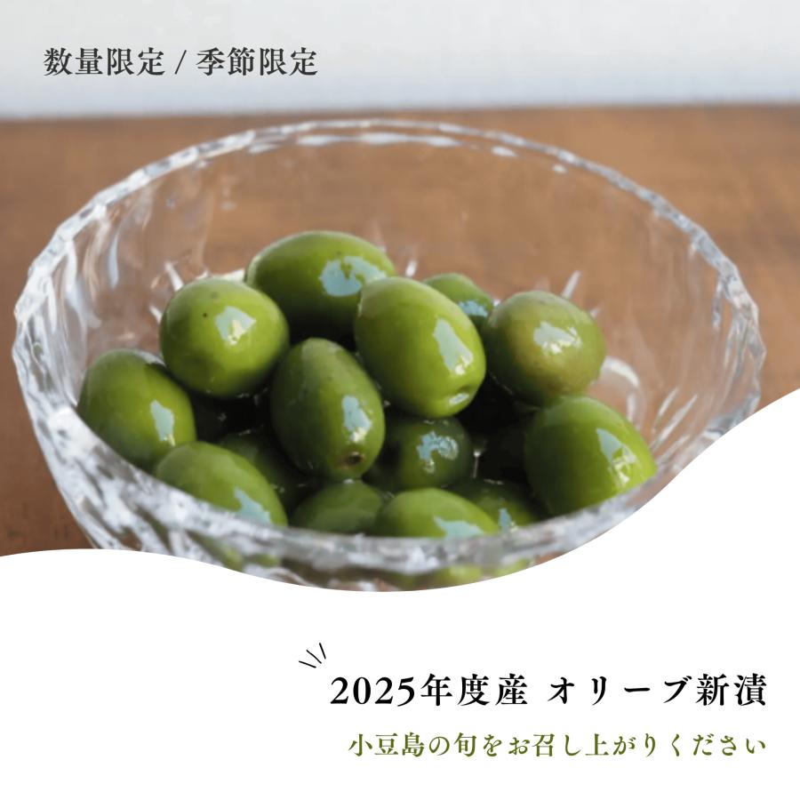 【公式】新漬け 小豆島 オリーブ 実 塩漬け 10/10解禁 大容量 セット 国産 浅漬け風 漬物 ギフト プレゼント ナナオリーブ 訳あり ふぞろい 賞味期限11/26 200g |  | 04