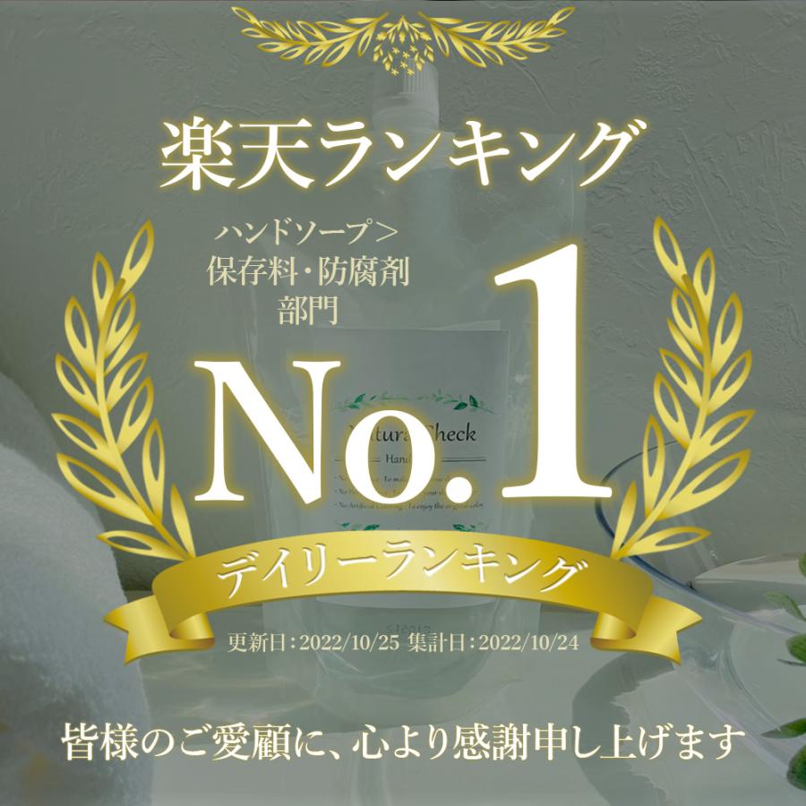 泡 ハンドソープ 詰め替え 大容量 415ml ×2パック 石けん さっぱり 無添加 無香料 敏感肌 弱アルカリ 天然由来 自然 日本製 子育て 手荒れ 新生活 ギフト |  | 01