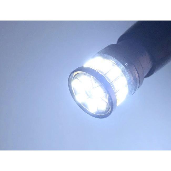fM124L 光ファイバーライト ペンギン 照明 ティンクル スター みね商店 T10／monster 3014 H.L LED(20pcs) 390LM／色温度 K