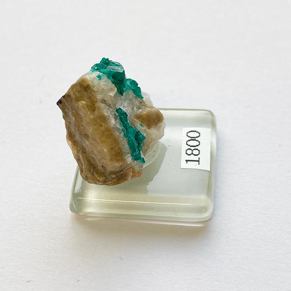 ダイオプテーズ_翠銅鉱〈dioptase〉 : Mineral&Fossil - 通販 - Yahoo