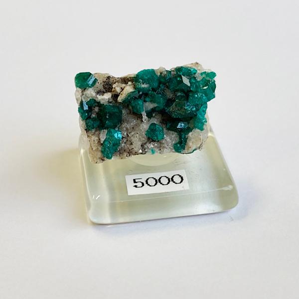 ダイオプテーズ_翠銅鉱〈dioptase〉 : Mineral&Fossil - 通販