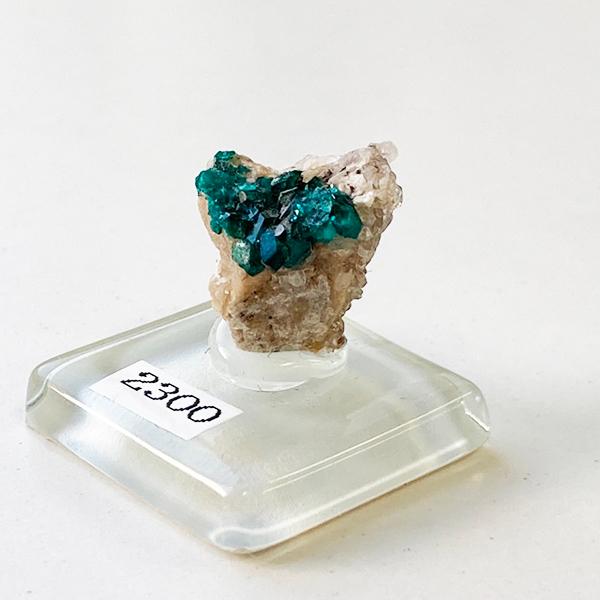 ダイオプテーズ_翠銅鉱〈dioptase〉 : Mineral&Fossil - 通販