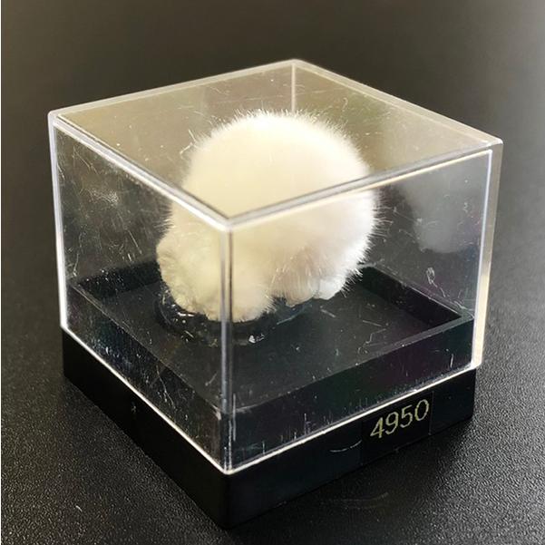 オーケン石 オケナイト（Okenite)直径約14mm コレクションケース付