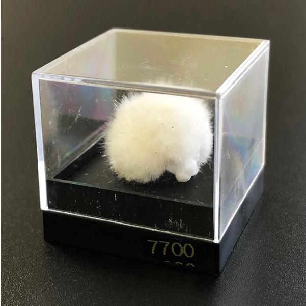 オーケン石 オケナイト（Okenite)直径約14mm コレクションケース