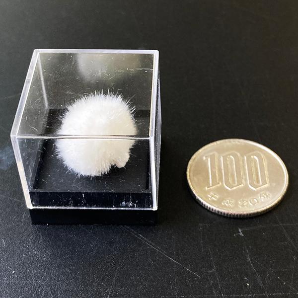 オーケン石 オケナイト（Okenite)直径約15mm コレクションケース付