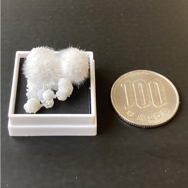 ❤︎モフモフで可愛い人気の❤︎オケナイト Okenite オーケン石 オケナイト/okenite (オーケン石)入荷しました「リアファル