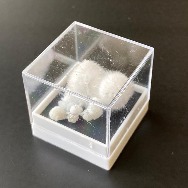 ❤︎モフモフで可愛い人気の❤︎オケナイト Okenite オーケン石 オケナイト/okenite (オーケン石)入荷しました「リアファル