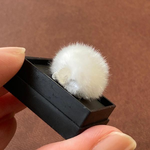 オーケン石 オケナイト（Okenite)直径約18mm コレクションケース付