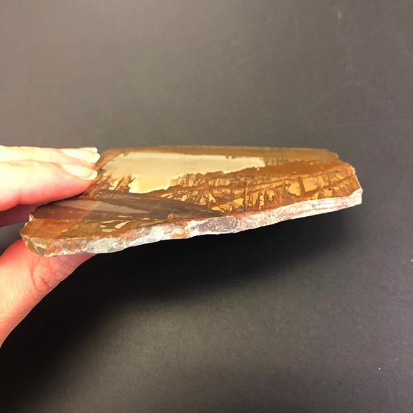 パエジナストーン（約90×84ミリ） : Mineral&Fossil - 通販 - Yahoo