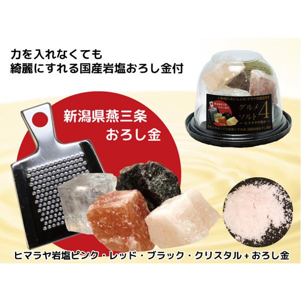 グルメソルト4 ヒマラヤの恵み ヒマラヤ岩塩4種+おろし金付