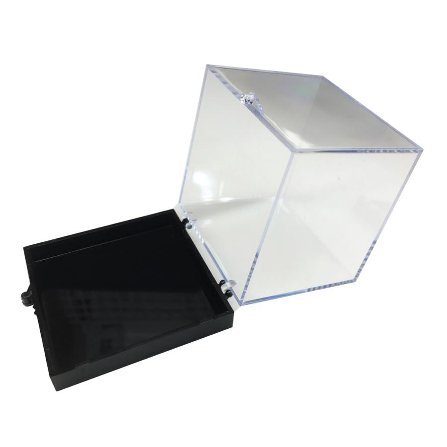 鉱物ケース Lサイズ 1個 サムネイルケース 標本ケース : ミネラル屋