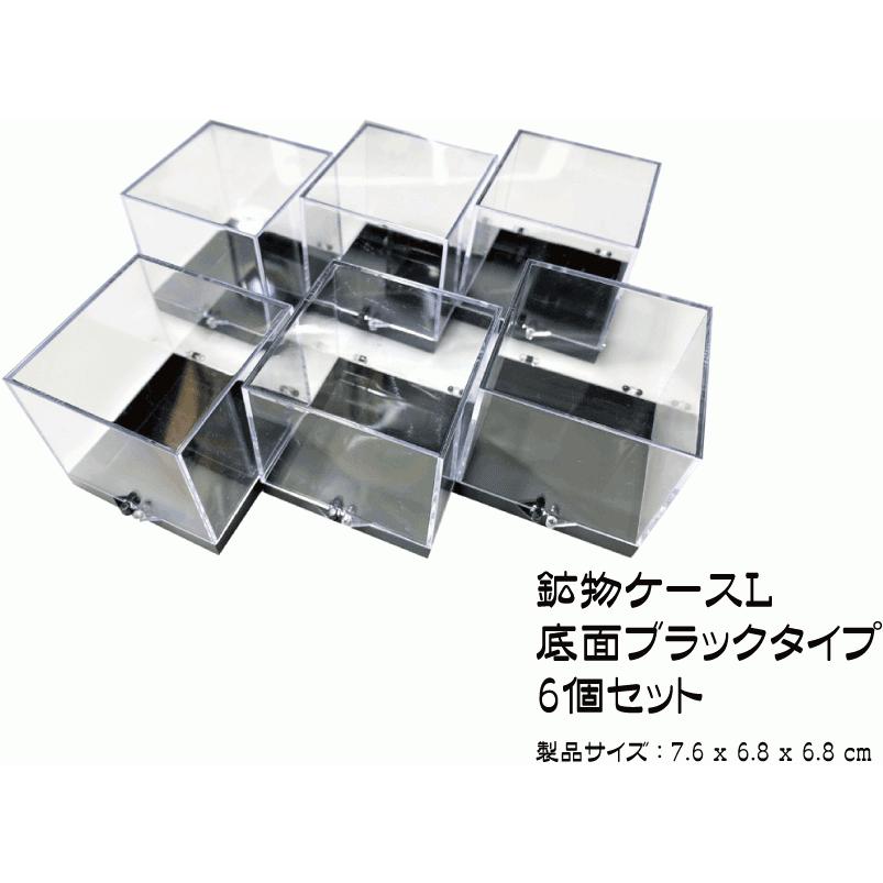 鉱物ケース Lサイズ 6個 サムネイルケース 標本ケース : ミネラル屋