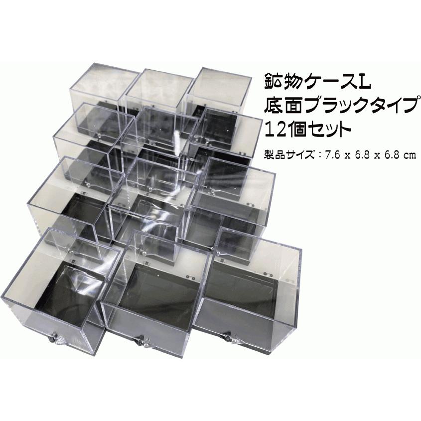 鉱物ケース Lサイズ 12個 サムネイルケース 標本ケース : ミネラル屋