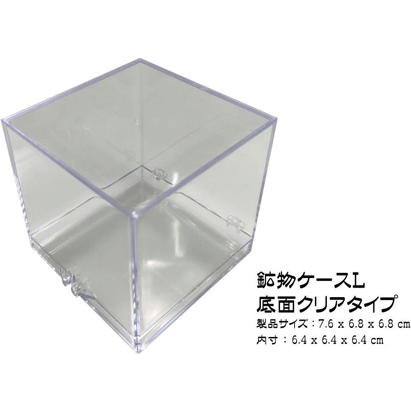 鉱物ケース Lサイズ 12個 サムネイルケース 標本ケース : ミネラル屋