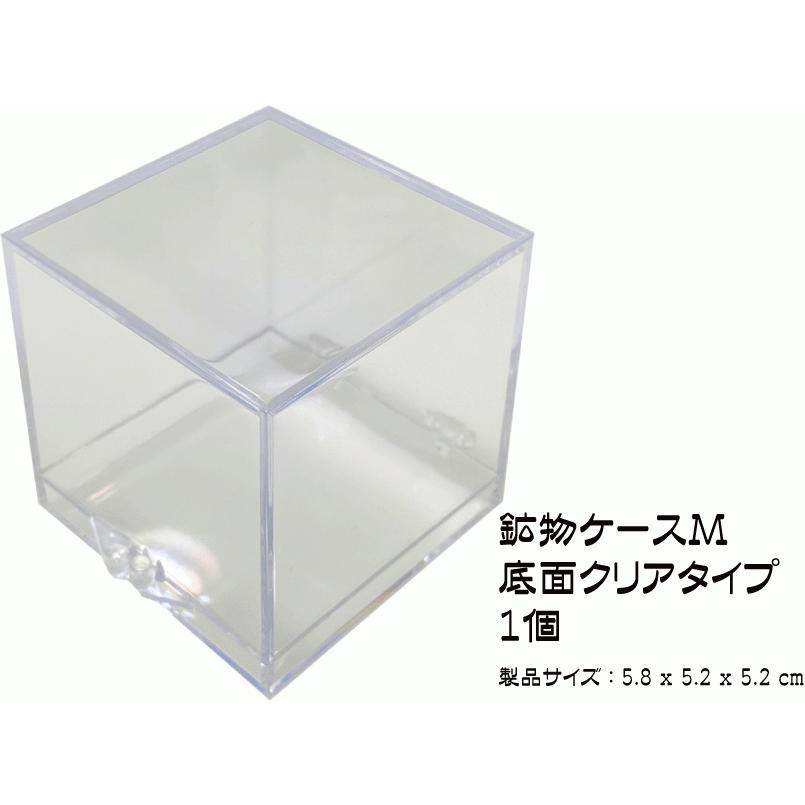 鉱物ケース Mサイズ 1個 サムネイルケース 標本ケース : ミネラル屋