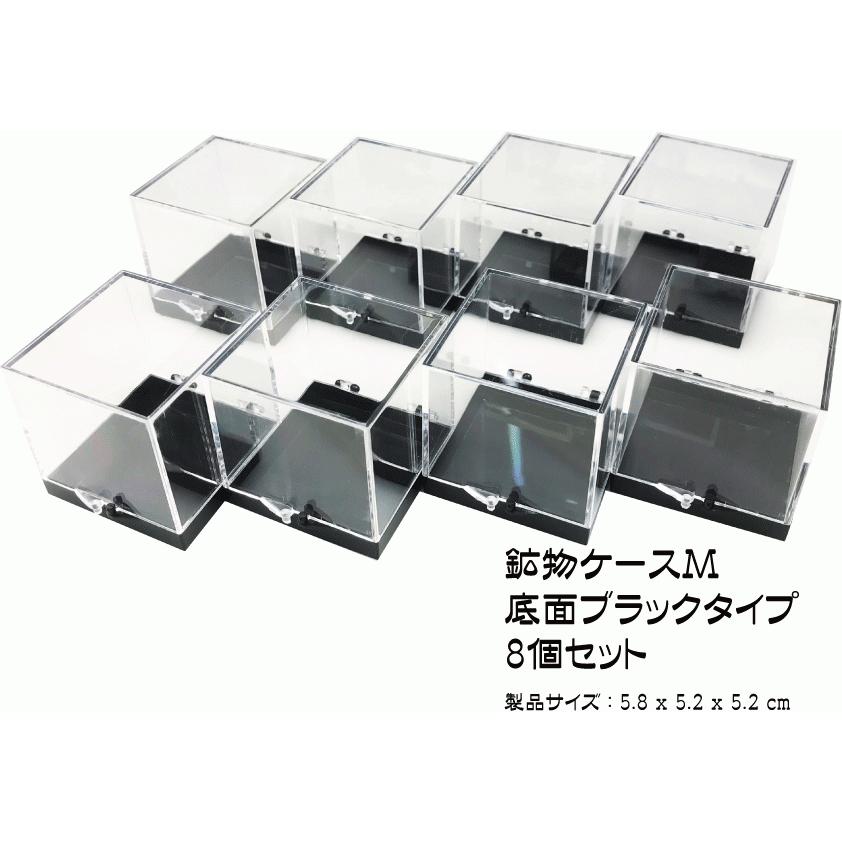 鉱物ケース Mサイズ 8個 サムネイルケース 標本ケース : ミネラル屋