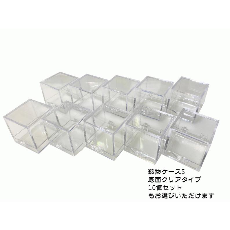 鉱物ケース Sサイズ 10個セット サムネイルケース 標本ケース