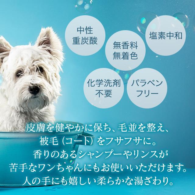 【新品】重炭酸グルーミングタブ　100錠入　2袋 入浴剤 ペット用 犬 猫 公式 グルーミングタブ 100錠 重炭酸イオンケア