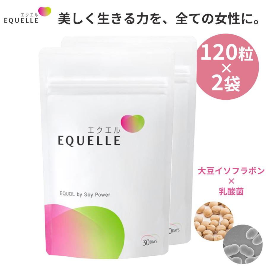 良好品】 2袋セット 大塚製薬 エクエル パウチタイプ 120粒 良好品】 2袋セット 大塚製薬 エクエル パウチタイプ 120粒