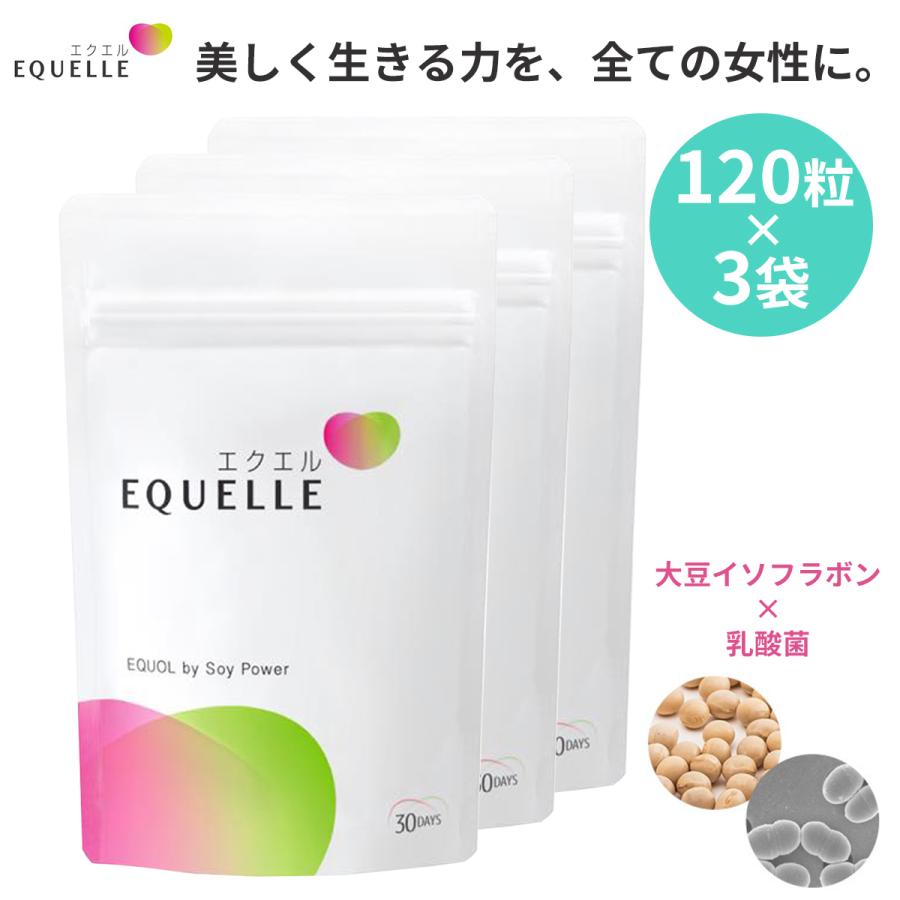 3袋セット エクエル 大塚製薬 パウチタイプ 120粒 : 4987035545613-3