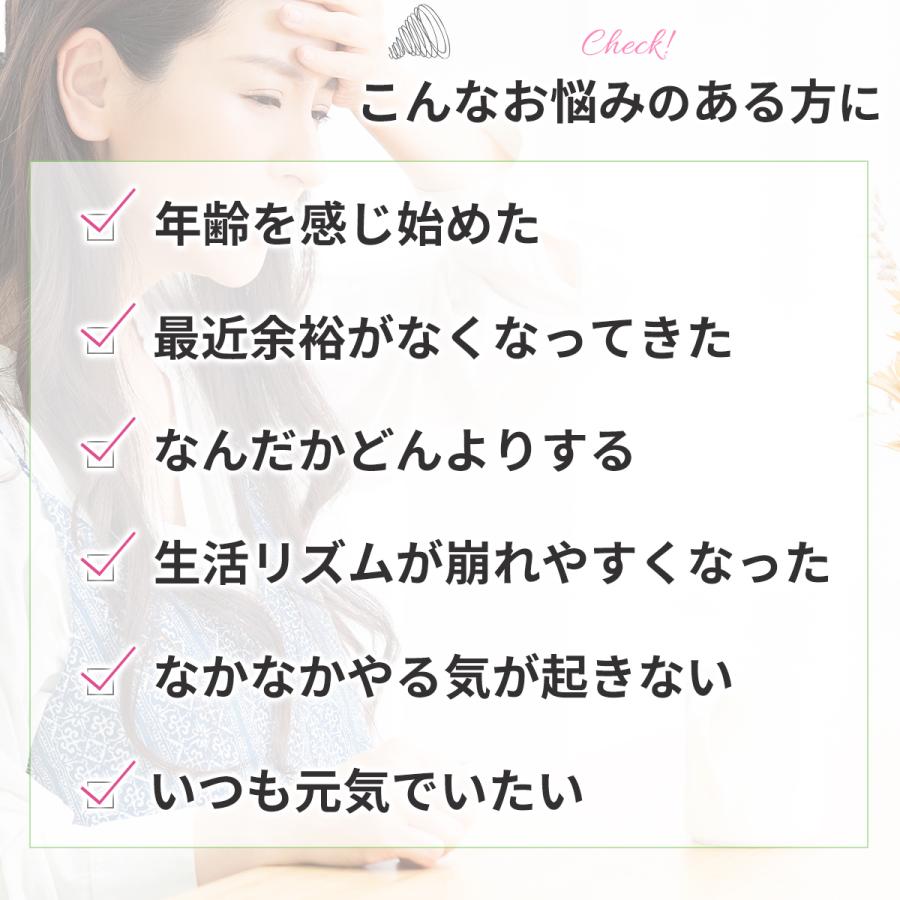 3袋セット エクエル 大塚製薬 パウチタイプ 120粒 | エクエル | 01
