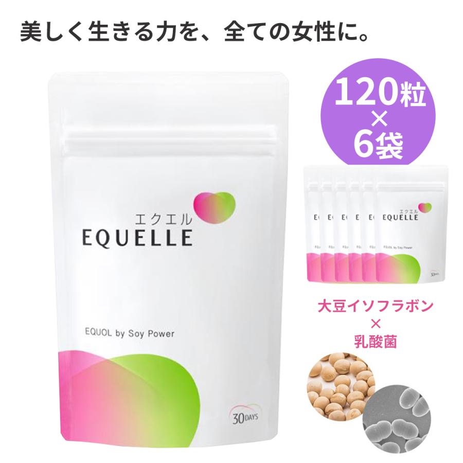 6袋セット エクエル 大塚製薬 パウチタイプ 120粒 :4987035545613-6:ミネルヴァ - 通販 - Yahoo!ショッピング