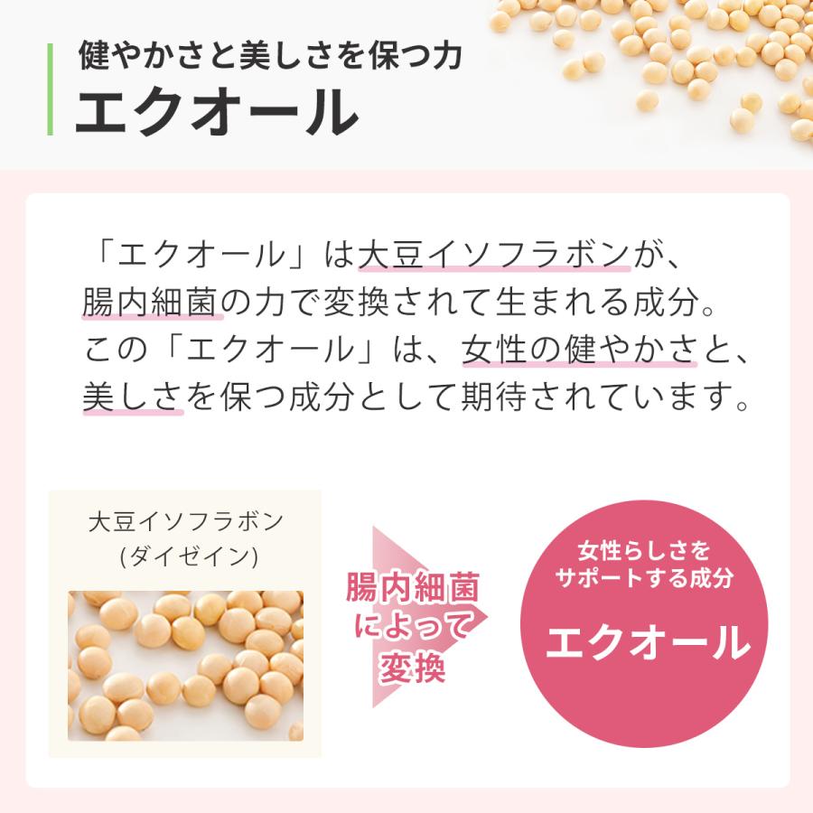 エクエル 大塚製薬 パウチタイプ 120粒 : Chronus - 通販 エクエル 大塚製薬 パウチタイプ 120粒 : Chronus - 通販